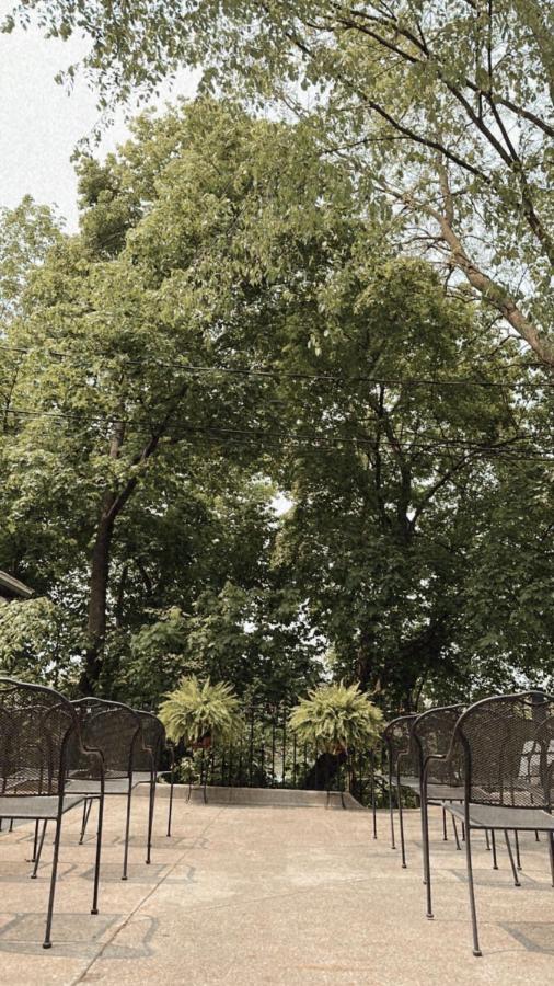 マウント・プレザント The Ginkgo Tree Bed & Breakfast エクステリア 写真