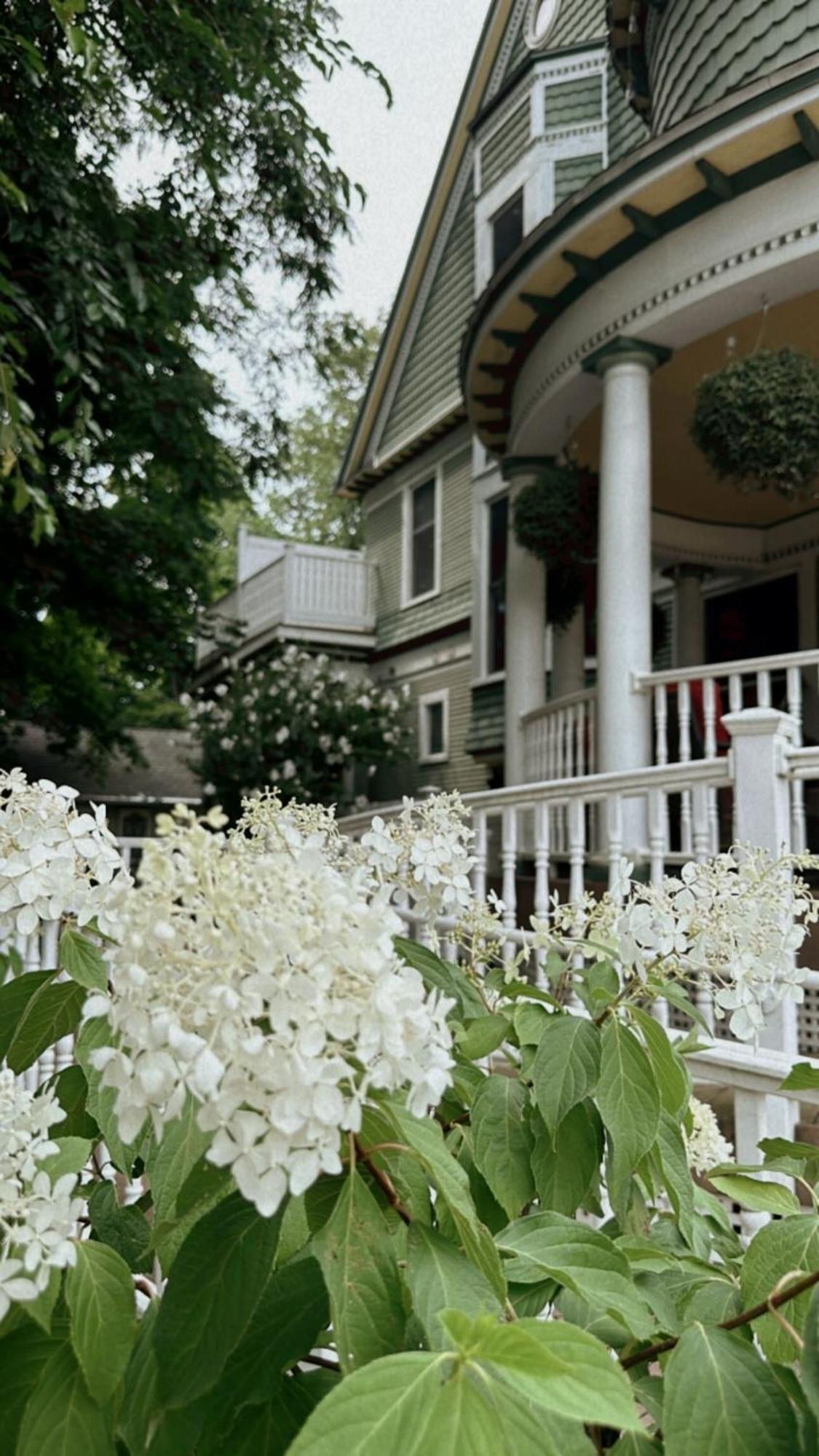 マウント・プレザント The Ginkgo Tree Bed & Breakfast エクステリア 写真